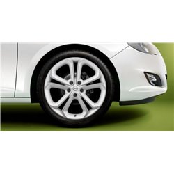 Jante alliage 19'' - 5 branches en Y - Bi-color