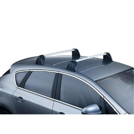 Barres de toit aluminium